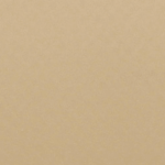 Tan Pvc Industrial Plastic Curtains | Custom PVC Curtain Wall Systems