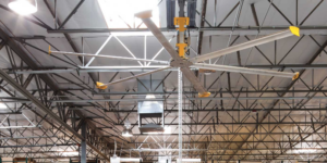 Hvls Fan For Warehouse Cooling